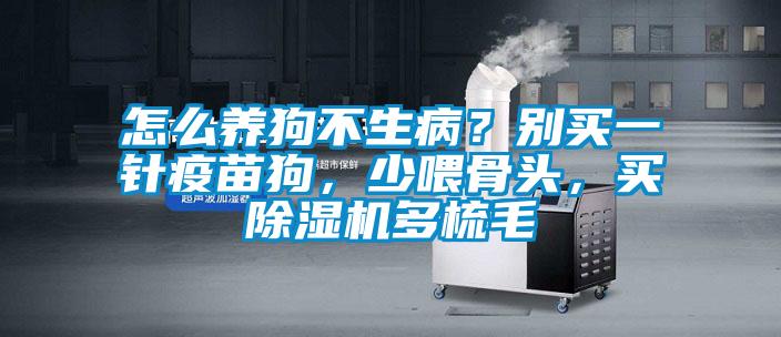 怎么養(yǎng)狗不生?。縿e買一針疫苗狗，少喂骨頭，買除濕機多梳毛