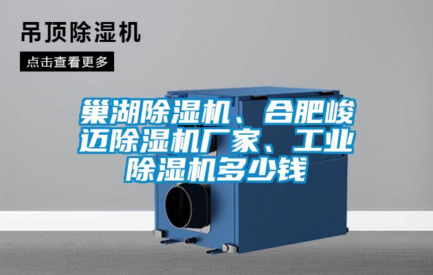 巢湖除濕機(jī)、合肥峻邁除濕機(jī)廠家、工業(yè)除濕機(jī)多少錢(qián)