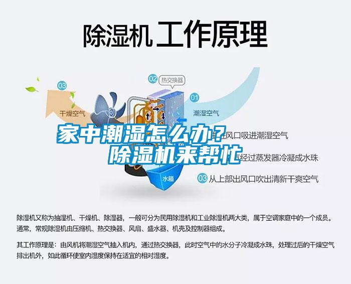 家中潮濕怎么辦？    除濕機(jī)來(lái)幫忙