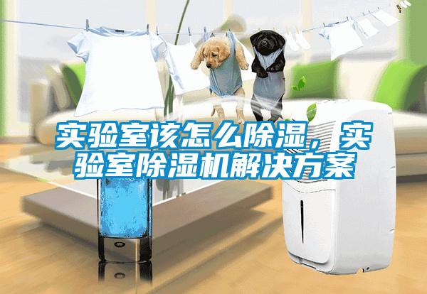實(shí)驗(yàn)室該怎么除濕，實(shí)驗(yàn)室除濕機(jī)解決方案