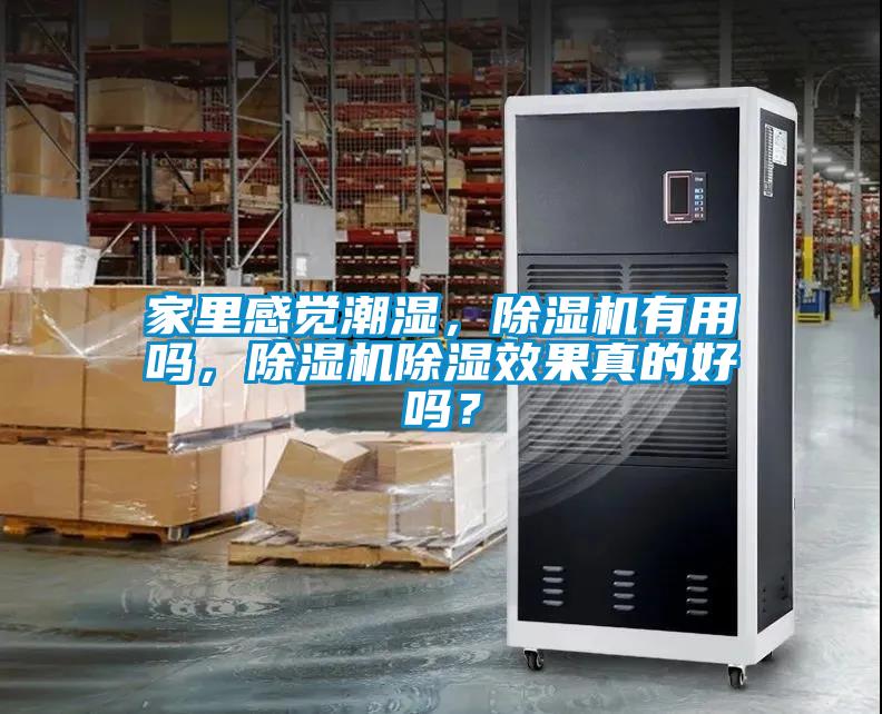 家里感覺潮濕，除濕機有用嗎，除濕機除濕效果真的好嗎？