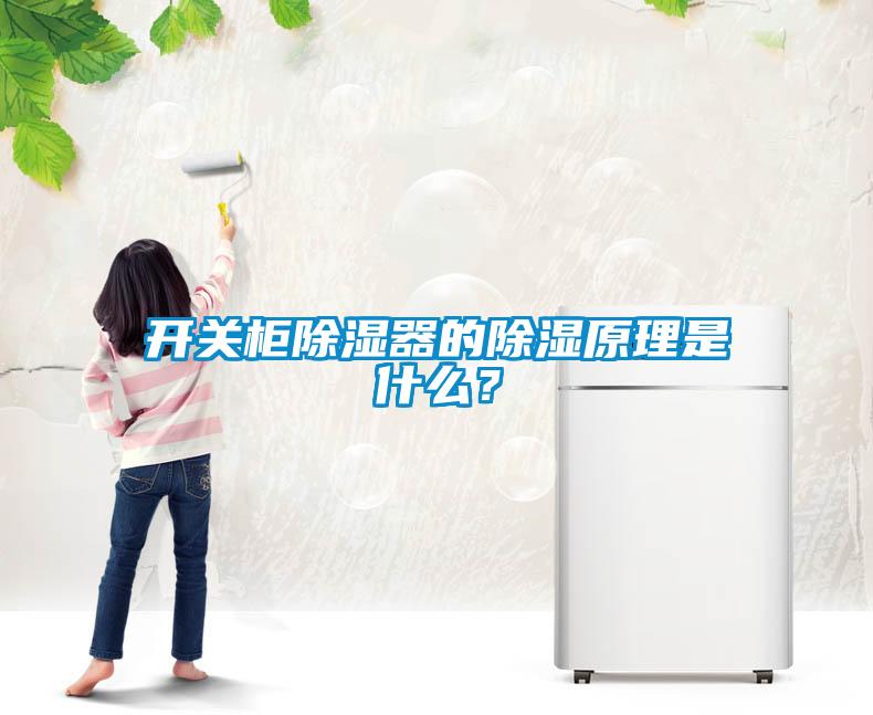 開關(guān)柜除濕器的除濕原理是什么？