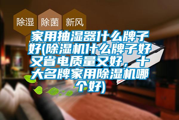 家用抽濕器什么牌子好(除濕機(jī)什么牌子好又省電質(zhì)量又好，十大名牌家用除濕機(jī)哪個(gè)好)