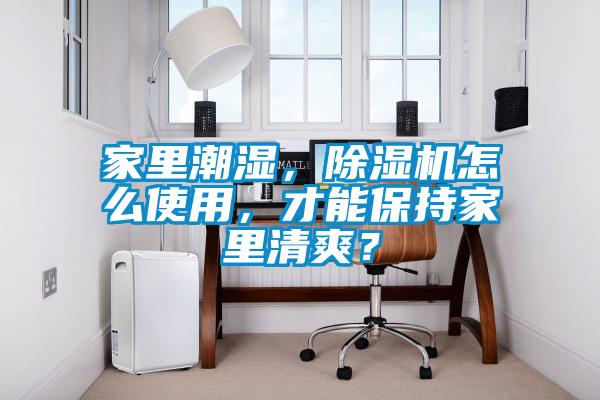 家里潮濕，除濕機(jī)怎么使用，才能保持家里清爽？