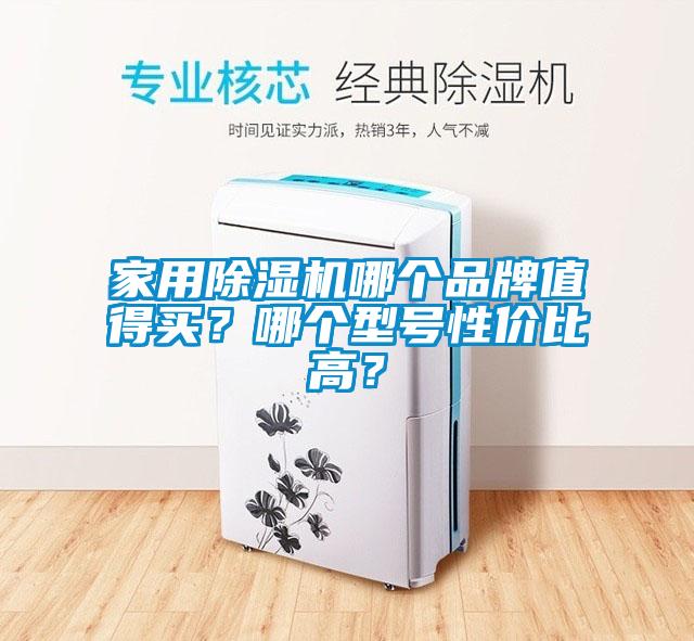 家用除濕機(jī)哪個(gè)品牌值得買？哪個(gè)型號性價(jià)比高？