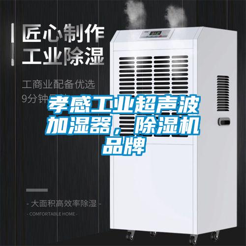 孝感工業(yè)超聲波加濕器，除濕機(jī)品牌