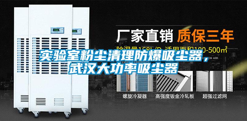 實(shí)驗(yàn)室粉塵清理防爆吸塵器，武漢大功率吸塵器