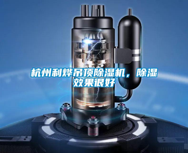 杭州利燁吊頂除濕機(jī)，除濕效果很好