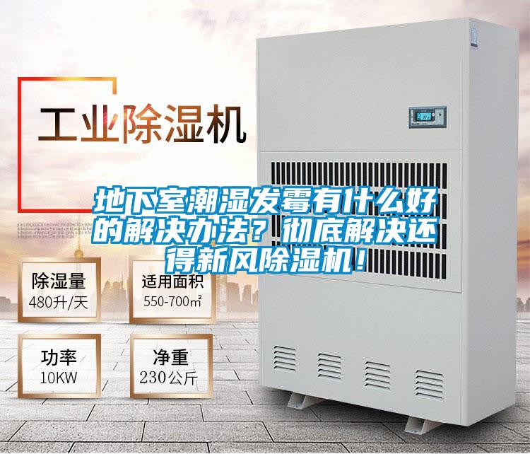 地下室潮濕發(fā)霉有什么好的解決辦法？徹底解決還得新風除濕機！