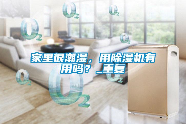 家里很潮濕，用除濕機(jī)有用嗎？_重復(fù)