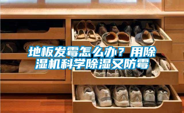 地板發(fā)霉怎么辦？用除濕機科學除濕又防霉