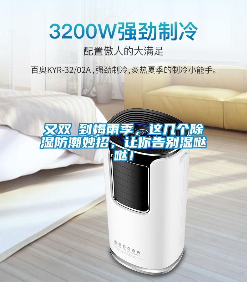 又雙叒到梅雨季，這幾個除濕防潮妙招，讓你告別濕噠噠！