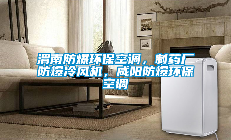 渭南防爆環(huán)?？照{(diào)，制藥廠防爆冷風(fēng)機(jī)，咸陽(yáng)防爆環(huán)?？照{(diào)
