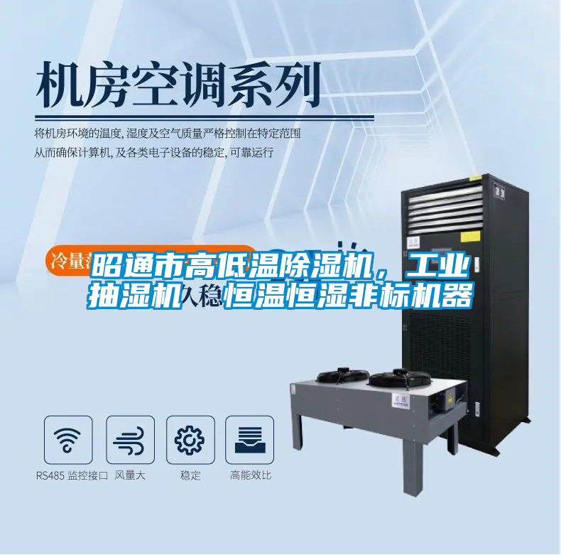 昭通市高低溫除濕機(jī)，工業(yè)抽濕機(jī)  恒溫恒濕非標(biāo)機(jī)器