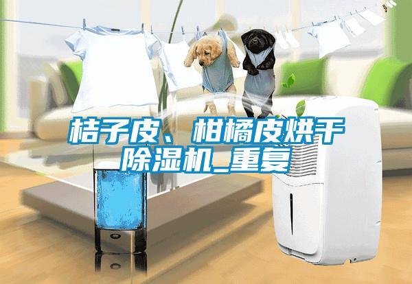 桔子皮、柑橘皮烘干除濕機_重復