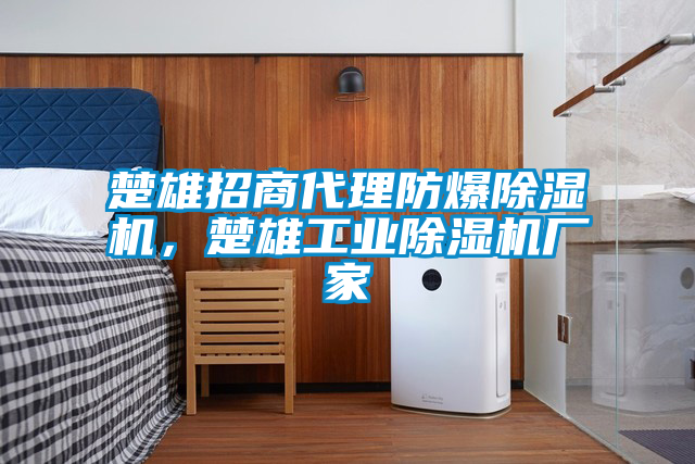 楚雄招商代理防爆除濕機(jī)，楚雄工業(yè)除濕機(jī)廠家