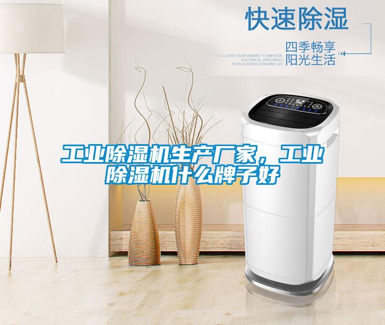 工業(yè)除濕機生產(chǎn)廠家，工業(yè)除濕機什么牌子好
