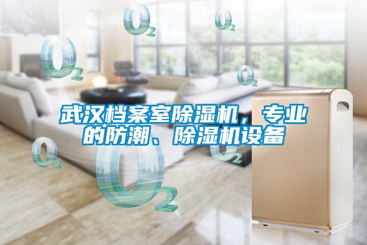 武漢檔案室除濕機(jī)，專業(yè)的防潮、除濕機(jī)設(shè)備