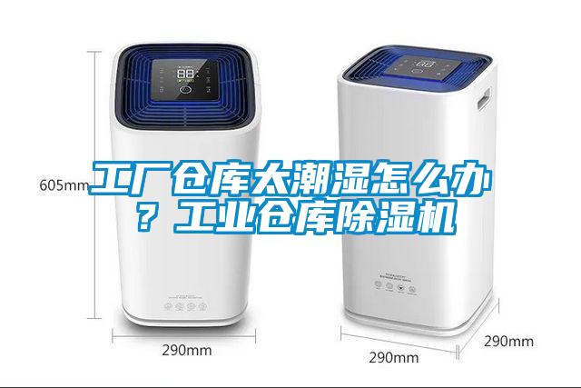 工廠倉(cāng)庫(kù)太潮濕怎么辦？工業(yè)倉(cāng)庫(kù)除濕機(jī)
