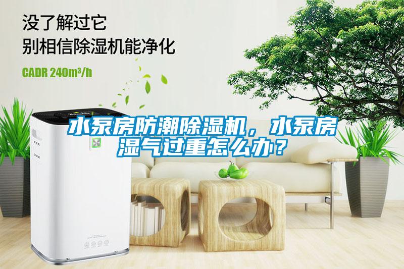 水泵房防潮除濕機(jī)，水泵房濕氣過重怎么辦？