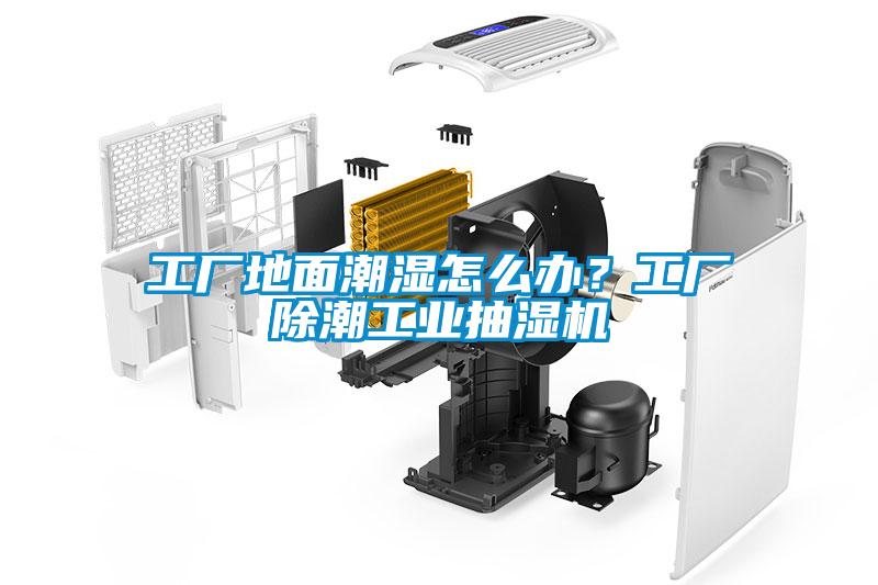 工廠地面潮濕怎么辦？工廠除潮工業(yè)抽濕機(jī)