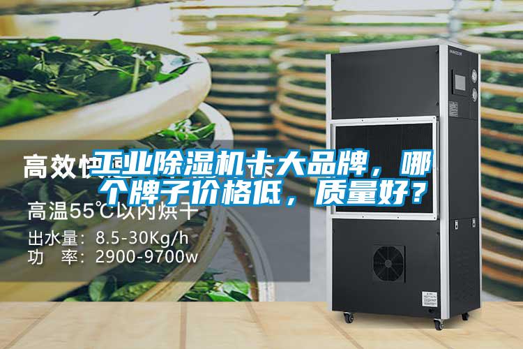 工業(yè)除濕機(jī)十大品牌，哪個(gè)牌子價(jià)格低，質(zhì)量好？