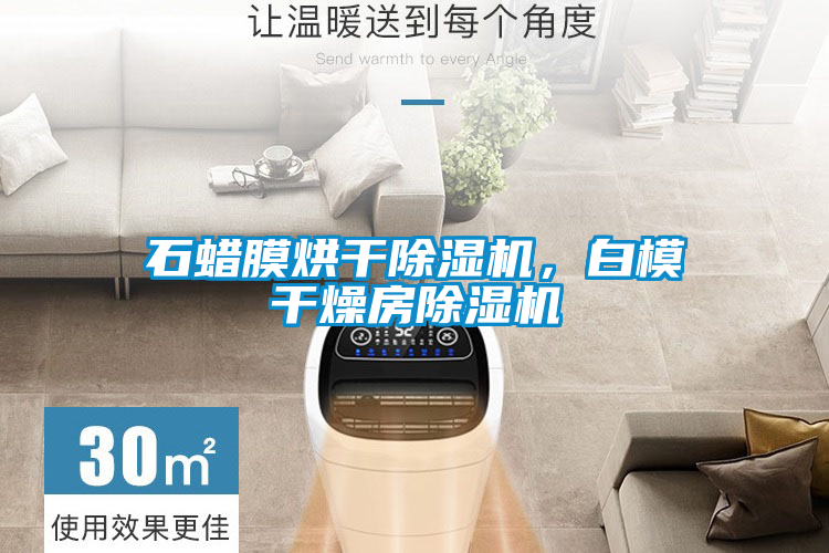 石蠟?zāi)ず娓沙凉駲C(jī)，白模干燥房除濕機(jī)