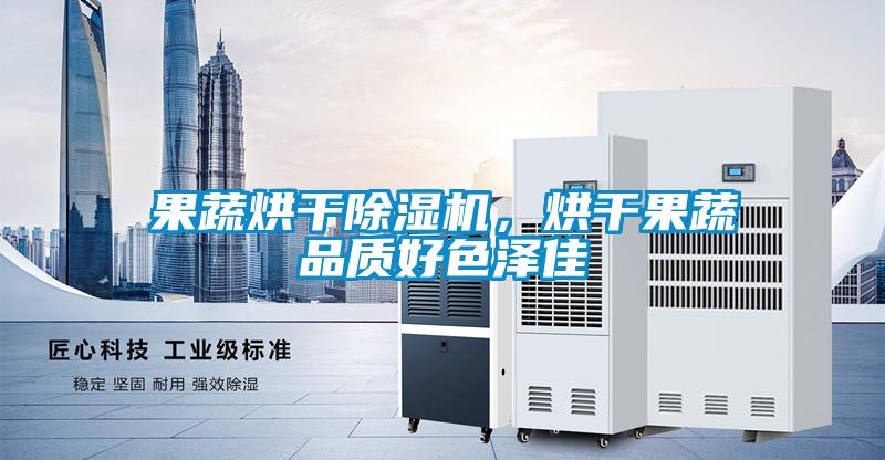 果蔬烘干除濕機，烘干果蔬品質(zhì)好色澤佳