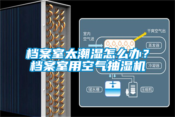 檔案室太潮濕怎么辦？檔案室用空氣抽濕機(jī)