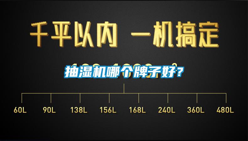 抽濕機(jī)哪個(gè)牌子好？