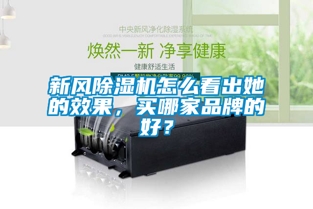 新風(fēng)除濕機(jī)怎么看出她的效果，買哪家品牌的好？