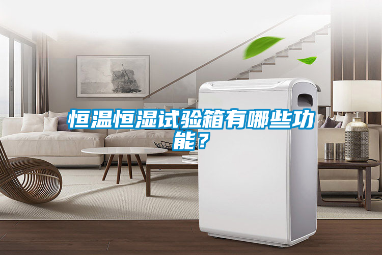 恒溫恒濕試驗箱有哪些功能？