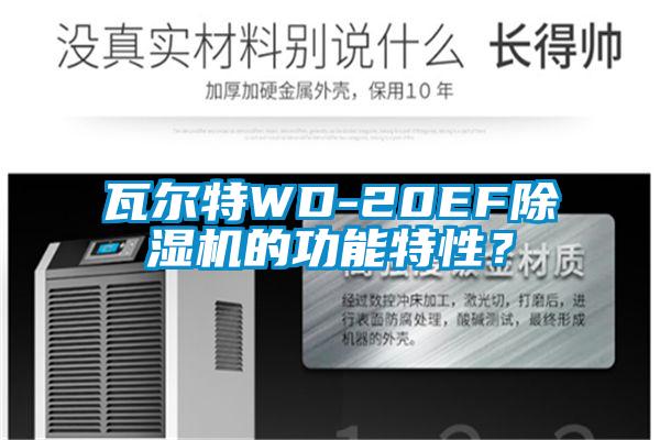 瓦爾特WD-20EF除濕機(jī)的功能特性？