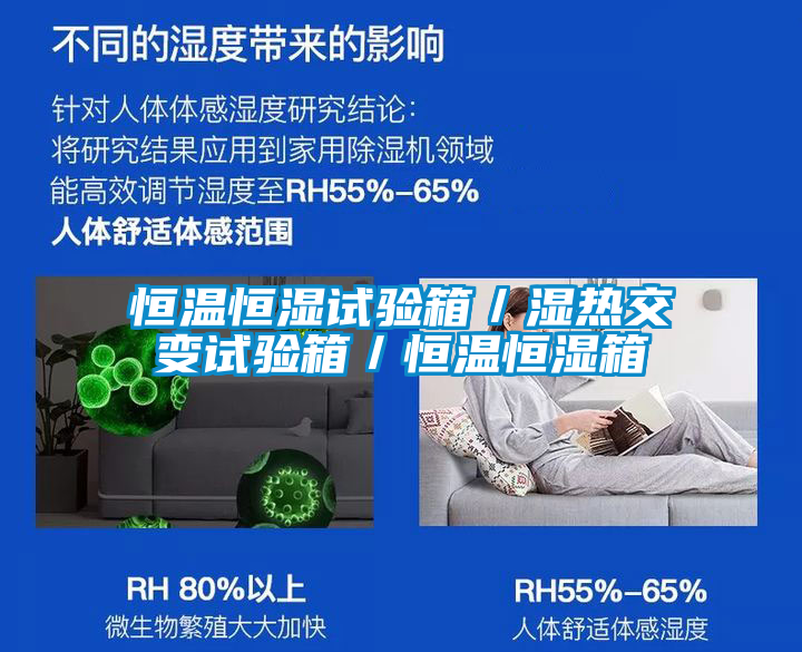 恒溫恒濕試驗(yàn)箱／濕熱交變?cè)囼?yàn)箱／恒溫恒濕箱