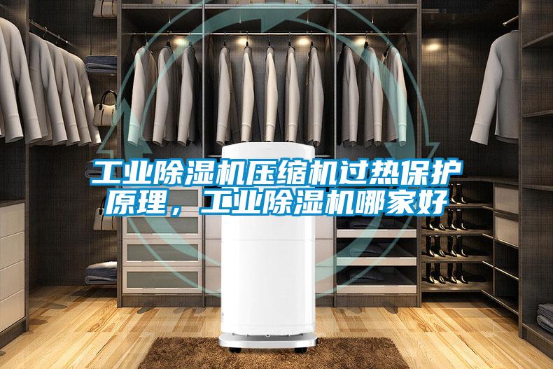 工業(yè)除濕機(jī)壓縮機(jī)過熱保護(hù)原理，工業(yè)除濕機(jī)哪家好