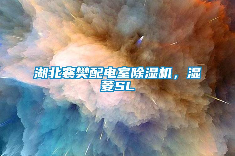 湖北襄樊配電室除濕機，濕菱SL