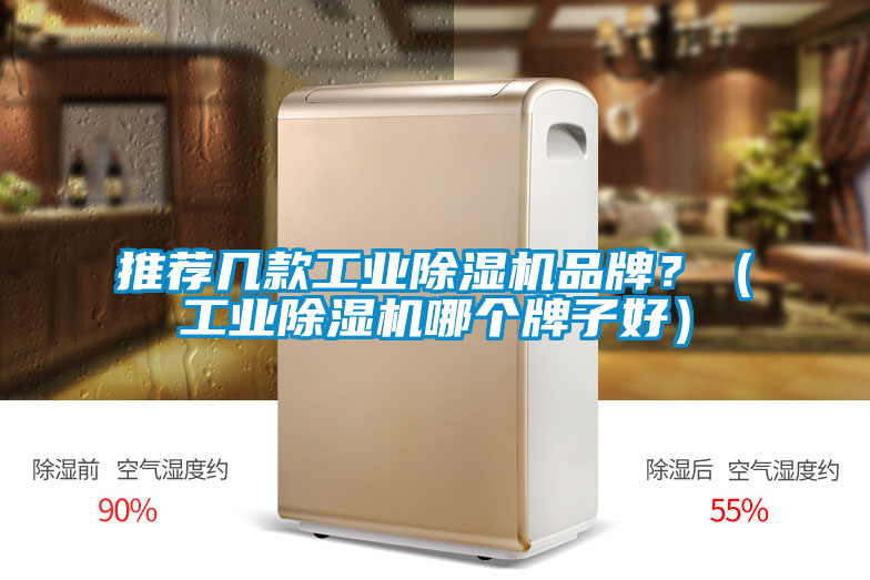 推薦幾款工業(yè)除濕機(jī)品牌？（工業(yè)除濕機(jī)哪個(gè)牌子好）