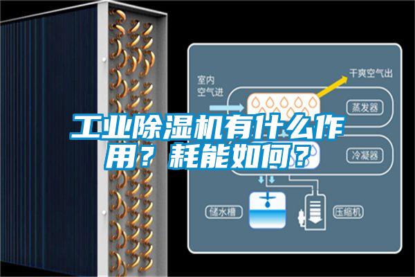 工業(yè)除濕機(jī)有什么作用？耗能如何？
