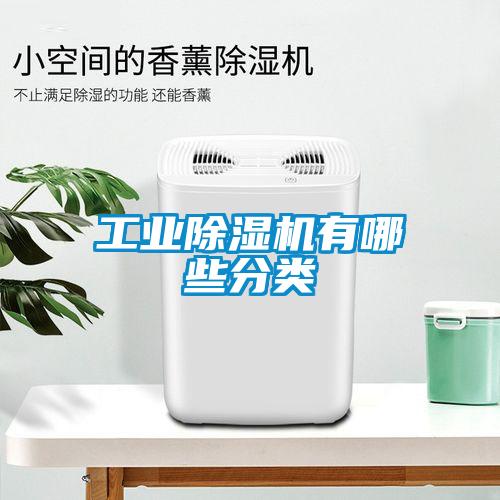 工業(yè)除濕機(jī)有哪些分類