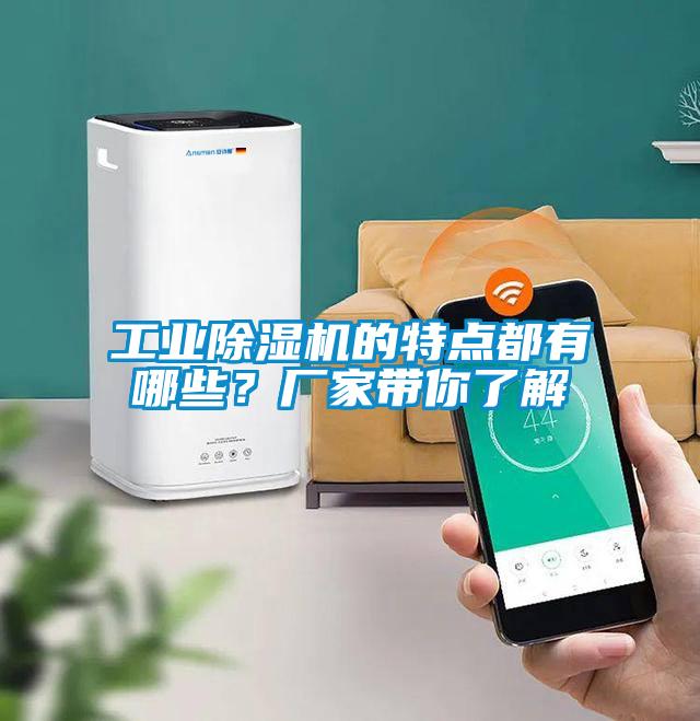 工業(yè)除濕機的特點都有哪些？廠家?guī)懔私?/></p>
						    <p style=
