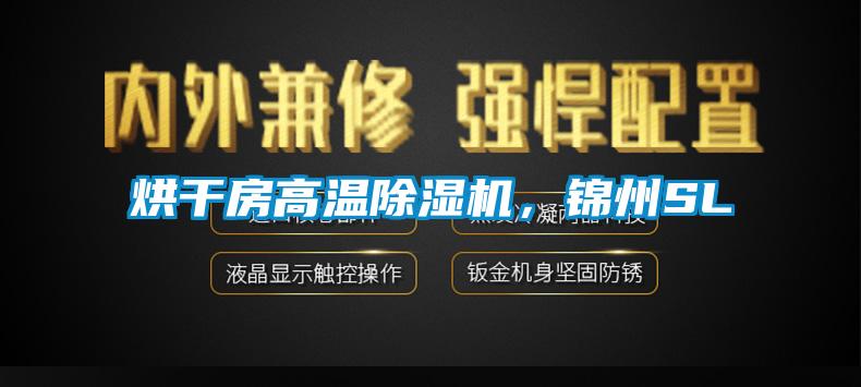 烘干房高溫除濕機(jī)，錦州SL