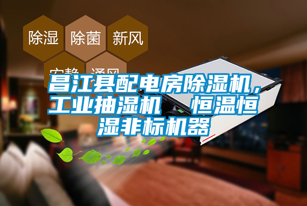 昌江縣配電房除濕機，工業(yè)抽濕機  恒溫恒濕非標機器