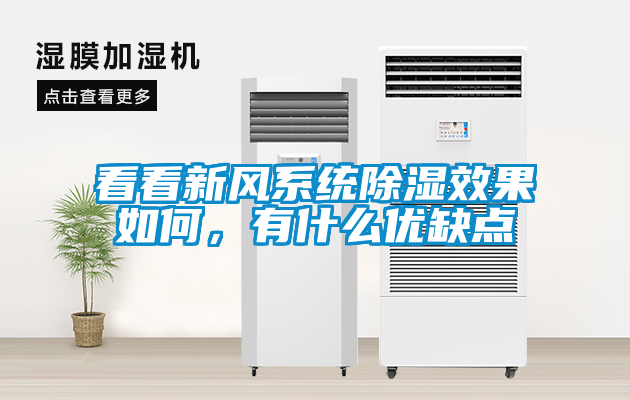 看看新風(fēng)系統(tǒng)除濕效果如何，有什么優(yōu)缺點