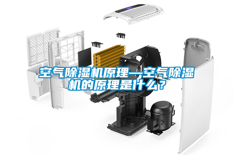 空氣除濕機(jī)原理—空氣除濕機(jī)的原理是什么？