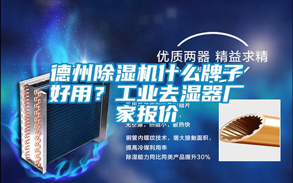 德州除濕機(jī)什么牌子好用？工業(yè)去濕器廠家報價