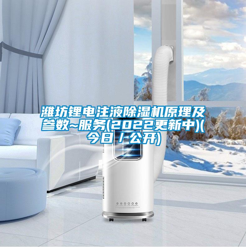 濰坊鋰電注液除濕機(jī)原理及參數(shù)~服務(wù)(2022更新中)(今日／公開(kāi))