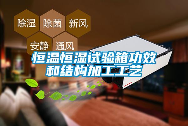恒溫恒濕試驗箱功效和結(jié)構(gòu)加工工藝