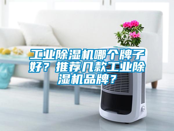 工業(yè)除濕機哪個牌子好？推薦幾款工業(yè)除濕機品牌？