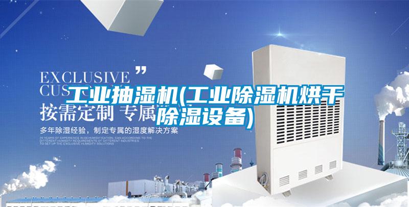 工業(yè)抽濕機(工業(yè)除濕機烘干除濕設備)
