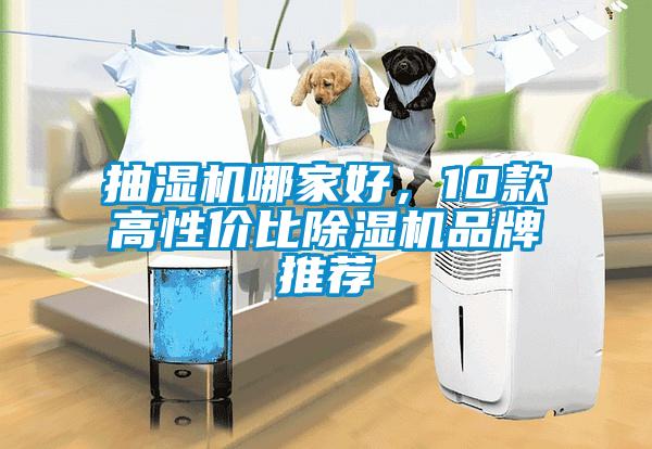 抽濕機哪家好，10款高性價比除濕機品牌推薦